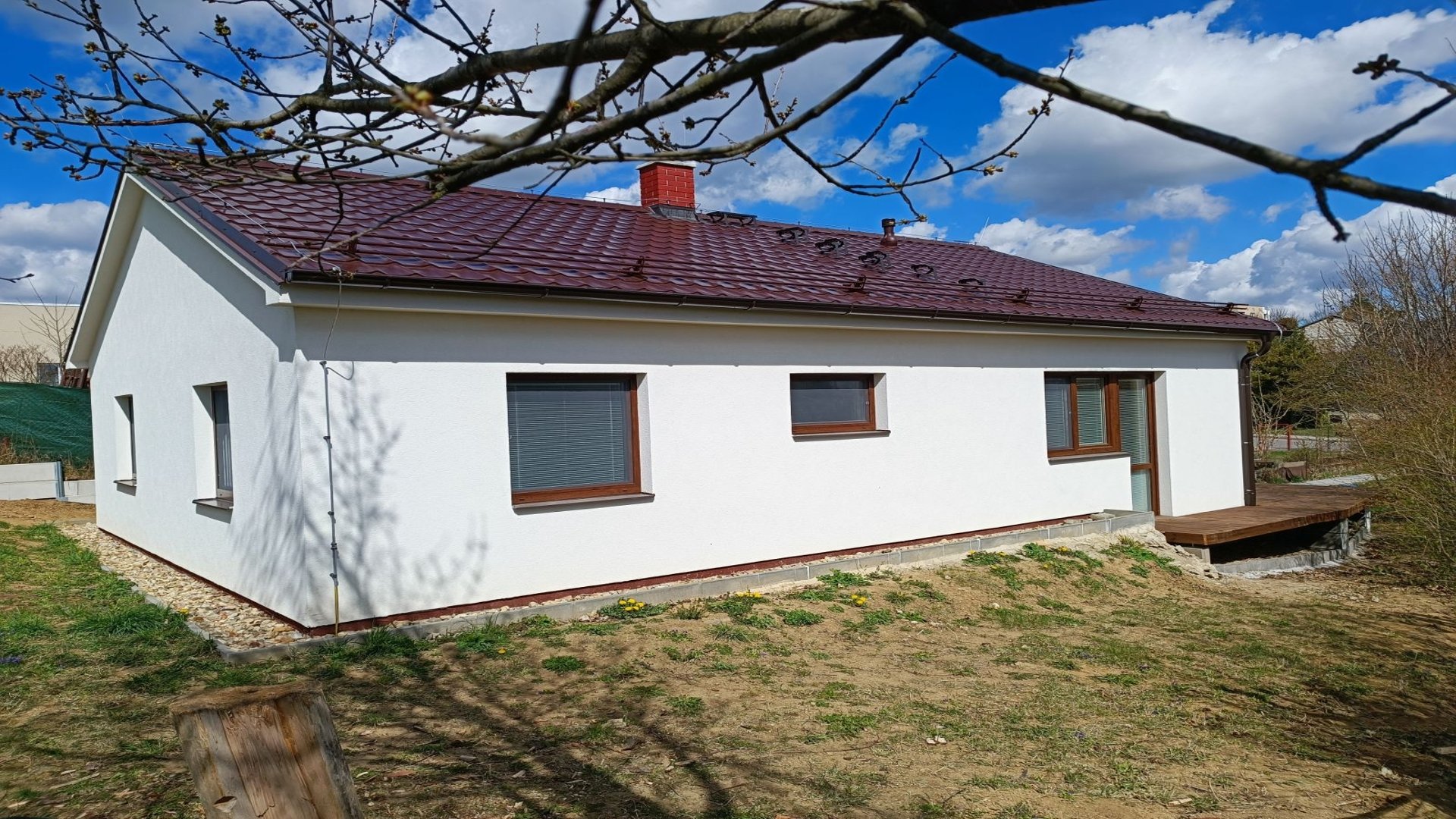 vzor
